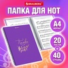 Папка-тетрадь для нот А4, 20 вкладышей на 40 страниц, н ...